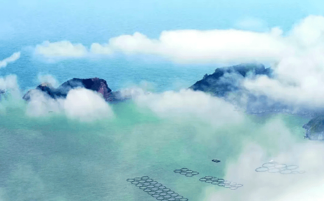 Harvest Season! On the Evening of October 20, CCTV Takes You on a Seafood Hunt in the East China Sea