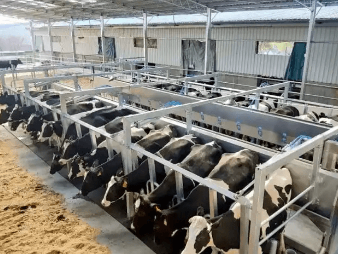 Cool! How Advanced Is This Ecological Breeding Park in Jiaojiang?