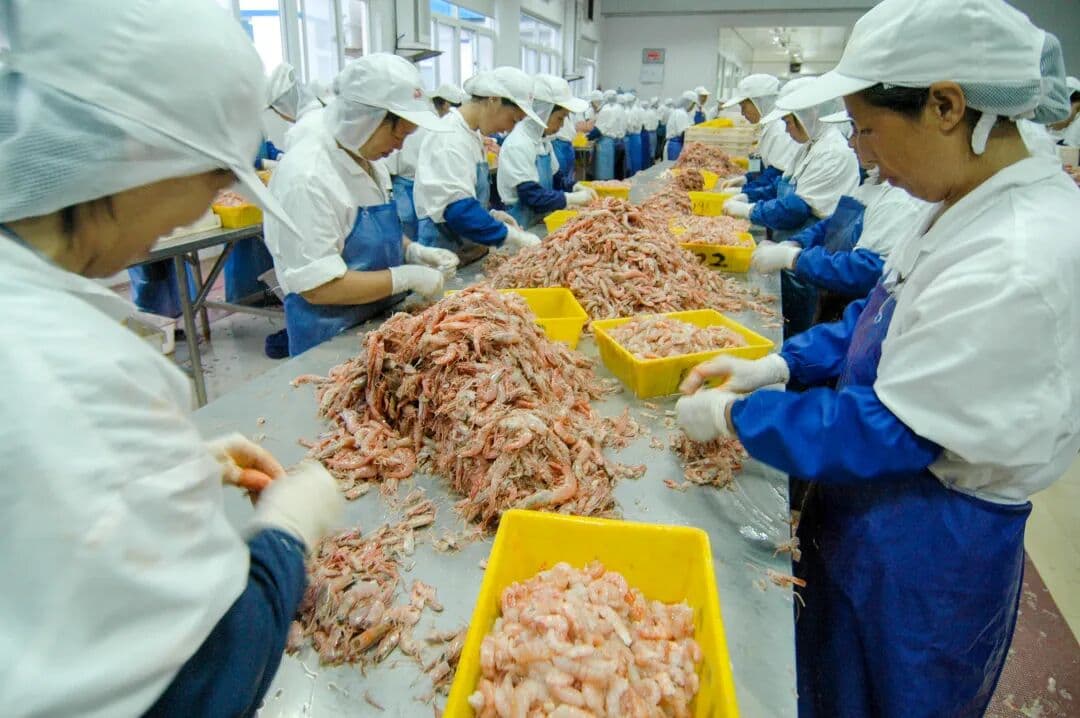 Freshness Preservation and Processing of Aquatic Products: Lighting Up Michelin Tables | Decoding "Taizhou Cuisine"