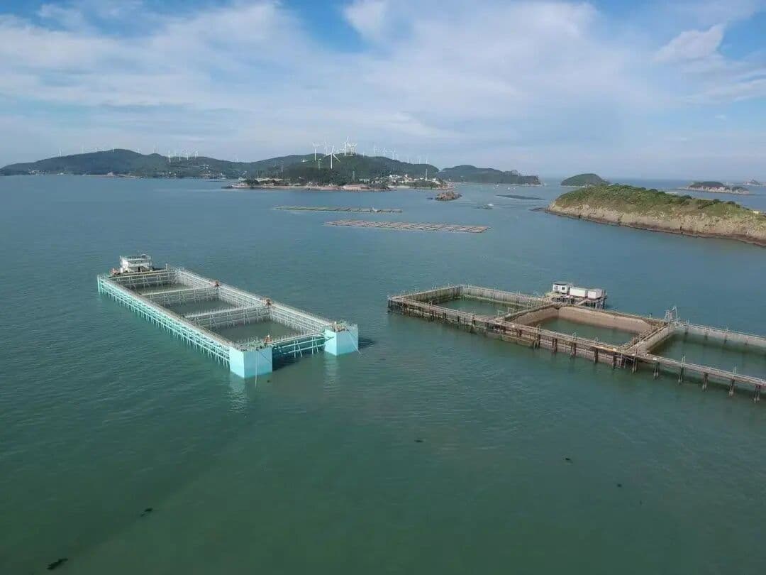 Michelin-Level Ingredients Achieved Through "Freshness" | Decoding "Taizhou Cuisine"