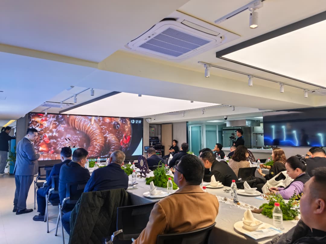 Taizhou Flavors Take Beijing by Storm: Aide's Small Intestine Rolls Showcase Intangible Cultural Heritage Confidence