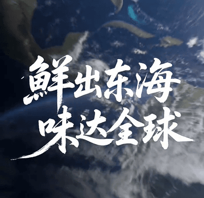 A Fish's Global Journey: Decoding Taizhou's Entire Aquatic Product Processing Chain